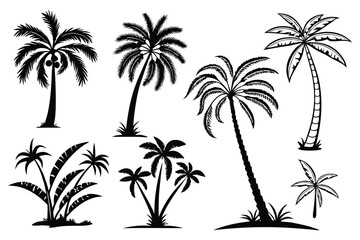 Tropical palm tree silhouette vector set &ndash; beach, summer, and vacation themed illustrations
