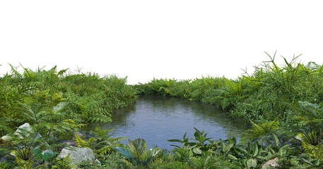 3D render of a pond with plants on a transparent background.