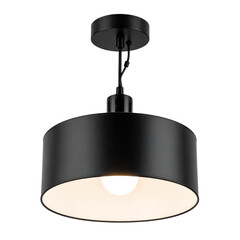 A modern black ceiling light fixture with a cylindrical shade and exposed bulb.