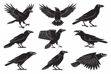 set of birds