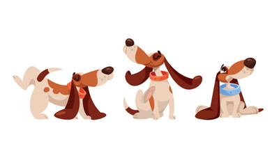 Playful dogs in colorful bandanas that reflect their unique personalities and cheerful spirits