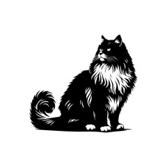 vector illustration of a black cat