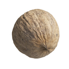Single walnut, Premium Single Walnut Handpicked, Natural, Fresh Rich in Nutrients Ideal Snack or...