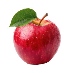 apple fruit isolated background