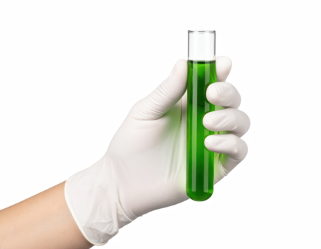 A hand holding a green test tube filled with liquid in a laboratory setting indicating scientific research, experimentation, or chemical analysis isolate on transparent background
