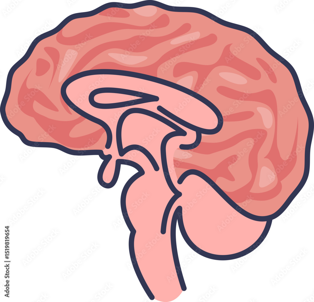 Poster illustration of a human brain highlighting its structure and complexity.