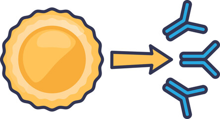 Illustration of a B cell producing antibodies, symbolizing immune response.