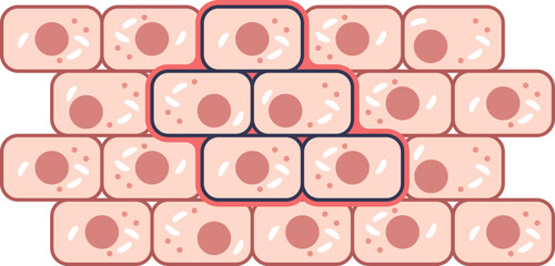 Highlighted cells in a pattern symbolize mistaken targeting.