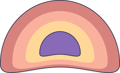 Illustration of adrenal gland layers: cortex and medulla. © VectorMine