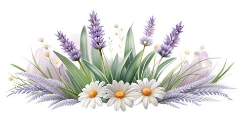 Close-up macro of beautiful purple and yellow lavender flowers with green stems, isolated on a white background, evoking the essence of a summer meadow in bloom