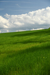 green field and blue sky