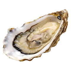 An oyster on half shell isolated on a transparent background