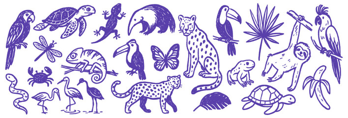 Doodle drawing of tropical animal and plant life for background or texture showcasing biodiversity species