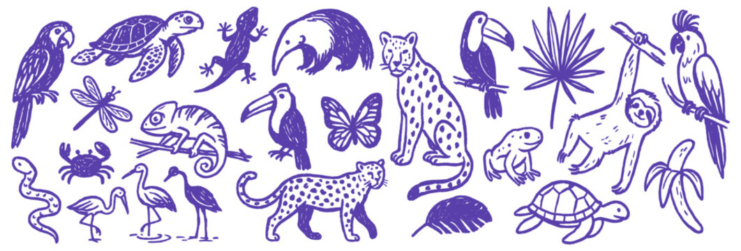 Doodle drawing of tropical animal and plant life for background or texture showcasing biodiversity species