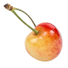 A rainier cherry isolated on a transparent background
