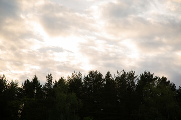 Beautiful sunset bright colorful clouds sky under the forest in spring time. Silhouette background in evening at rural season green grass field with no people. Natural colors