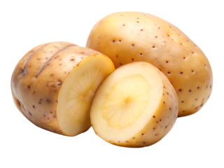  Potato and slice isolated on white background, PNG