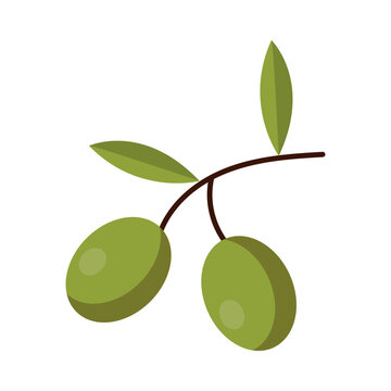 green olives branch simple design clip art preview
