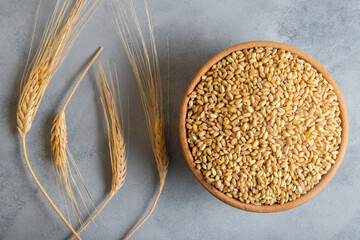 Wheat grains in wooden bowl and ears on bright background,top view
