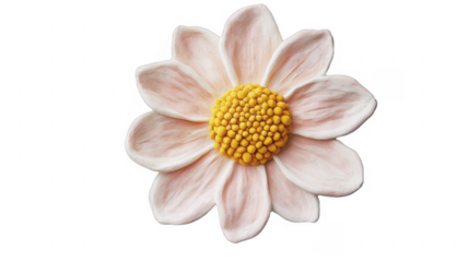 Detailed Pink Flower with Textured Petals and Yellow Center on a transparent background, PNG image, PNG file.