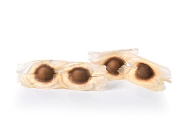 Moringa Oleifera seed dried from Moringa tree on isolated white.