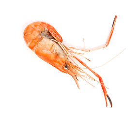 grill shrimp isolated on white background