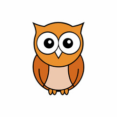owl on white background