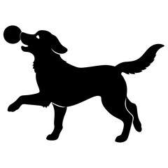 silhouette of a dog