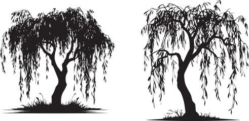 Willow tree silhouette tree with black leaves © Qurban Vector & Ai