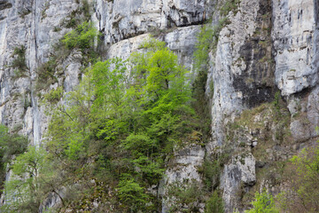 Rock formations of various sizes and colors in Europe during summer. A scenic natural landscape, perfect for travel themes, desktop wallpaper, and adventure inspiration.