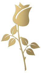 illustration of a golden flower