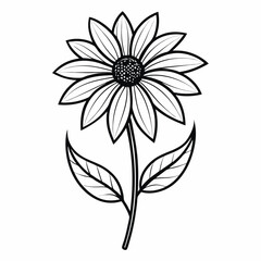 Coneflower outline vector icon