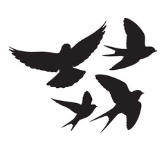 Obraz premium birds flying silhouette 