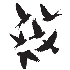 birds flying silhouette 