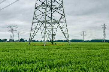 Landscape near Strijen, The Netherlands with with fields and electricity pylons