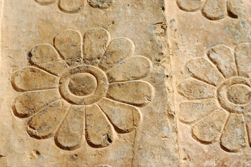 Flower shape relief, Persepolis, Iran