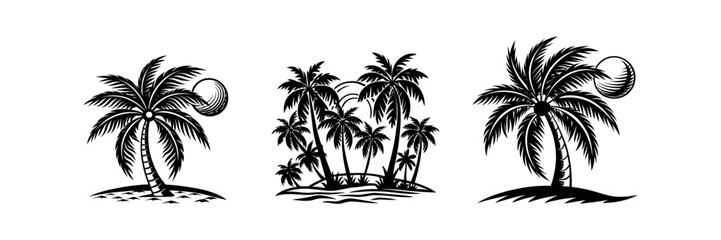 Tropical paradise beach with palm tree vector illustration at sunset silhouette design set