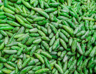 Beautiful fresh green leafy vegetables.