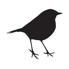 Birds Vector