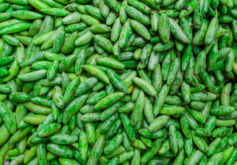 Beautiful fresh green leafy vegetables.