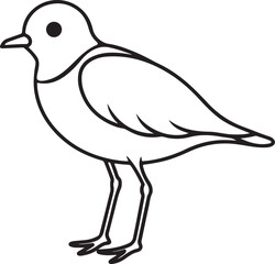 piping plover bird line art, black outline, vector and illustration, coloring book page line art drawing
