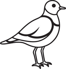 piping plover bird line art, black outline, vector and illustration, coloring book page line art drawing