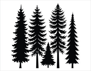 Obraz premium Douglas Fir Tree Black Vector Icons