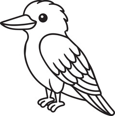 kookaburra bird line art, black outline, vector and illustration, coloring book page line art drawing