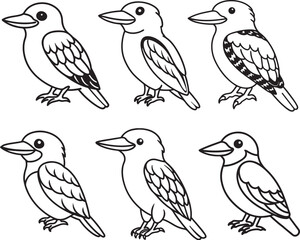 set of kookaburra bird line art, black outline, vector and illustration, coloring book page line art drawing