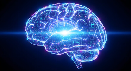 Human Brain Circuitry Digital Neural Network Visualization