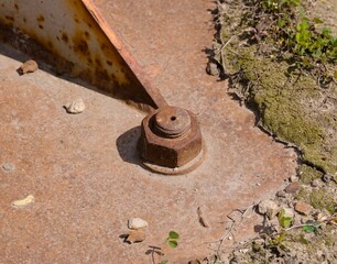 Heavily rusted nut and bolt on a weathered metal surface on the ground with small plants nearby. Close-up