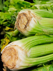 Freshly harvested celery displayed in a market highlighting its vibrant green color and natural texture