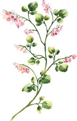 Hand Painted Watercolor Flower Vector Illustration Floral Element on White Background