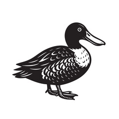 Obraz premium Black and white vector of a Northern Shoveler duck standing in profile with distinctive bill and feather patterns. Perfect for wildlife, bird art, and prints. Animal.